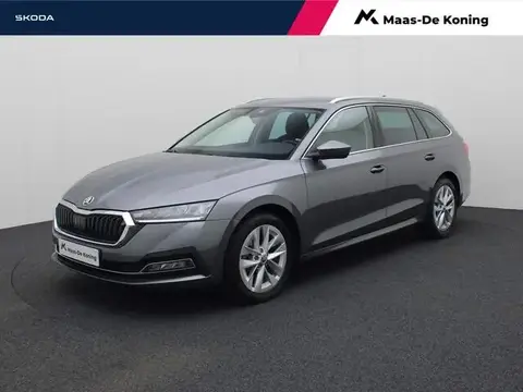 Used SKODA OCTAVIA Petrol 2023 Ad 