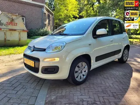 Used FIAT PANDA Petrol 2016 Ad 