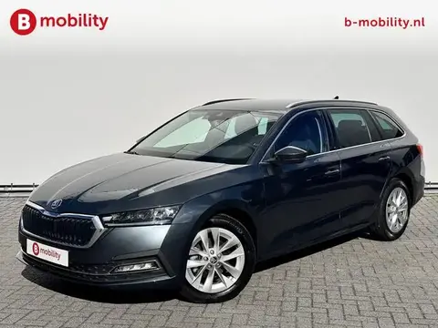 Used SKODA OCTAVIA Petrol 2021 Ad 