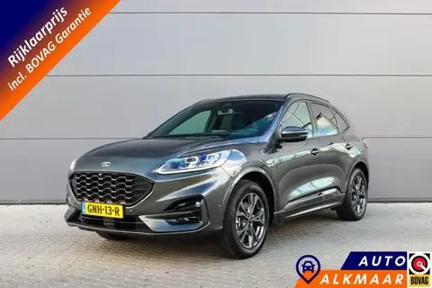 Used FORD KUGA Hybrid 2021 Ad 