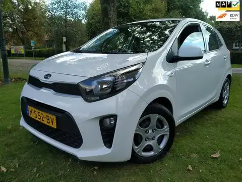 Annonce KIA PICANTO Essence 2020 d'occasion 