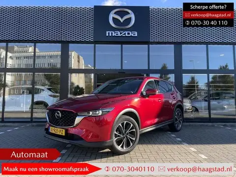 Annonce MAZDA CX-5 Essence 2024 d'occasion 