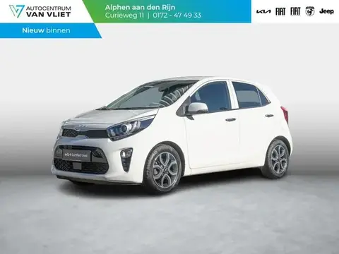 Used KIA PICANTO Petrol 2023 Ad 