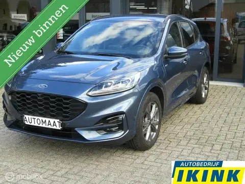 Used FORD KUGA Hybrid 2021 Ad 