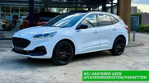 Annonce FORD KUGA Hybride 2023 d'occasion 