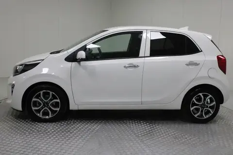 Annonce KIA PICANTO Essence 2024 d'occasion 