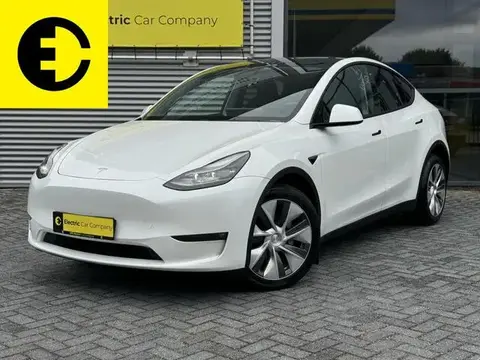 Used TESLA MODEL Y Electric 2023 Ad 