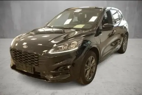 Used FORD KUGA Hybrid 2023 Ad 