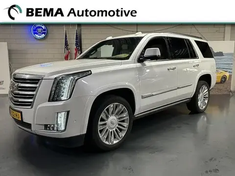 Used CADILLAC ESCALADE Petrol 2019 Ad 