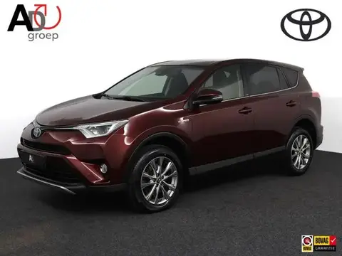 Annonce TOYOTA RAV4 Hybride 2017 d'occasion 