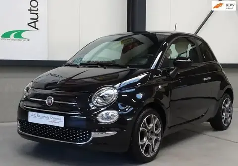 Used FIAT 500 Petrol 2021 Ad 