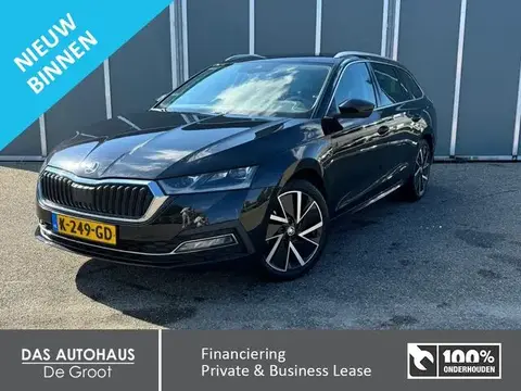 Used SKODA OCTAVIA Petrol 2020 Ad 