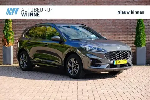 Annonce FORD KUGA Hybride 2021 d'occasion 