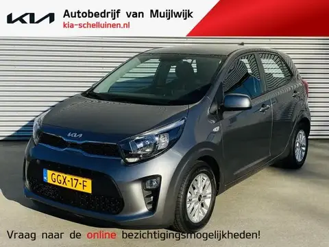 Used KIA PICANTO Petrol 2024 Ad 