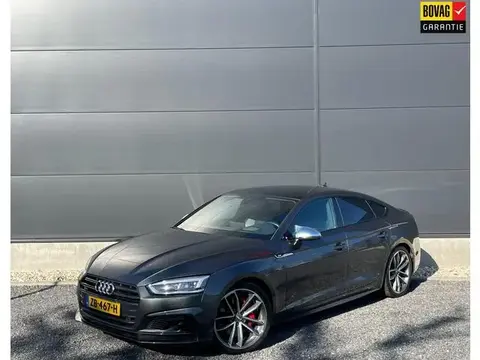 Used AUDI A5 Petrol 2017 Ad 