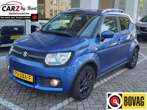 Used SUZUKI IGNIS Petrol 2017 Ad 