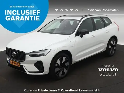 Used VOLVO XC60 Hybrid 2024 Ad 