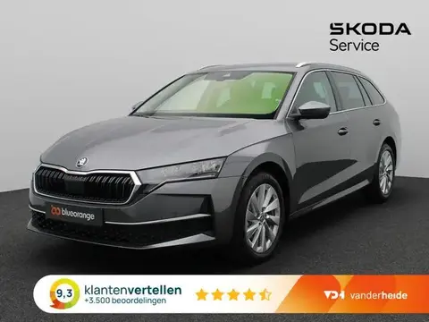 Annonce SKODA OCTAVIA Essence 2024 d'occasion 