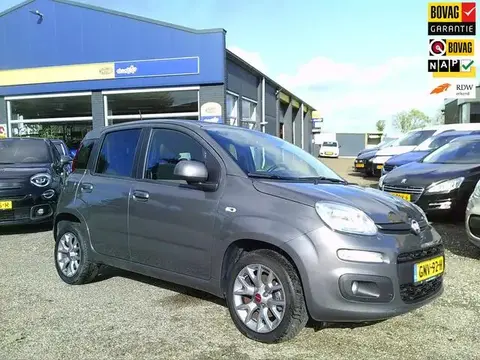 Annonce FIAT PANDA Essence 2020 d'occasion 