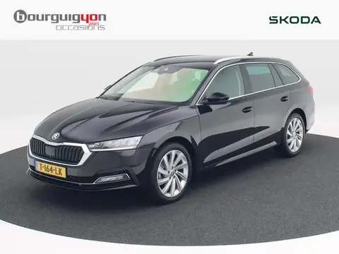 Used SKODA OCTAVIA Petrol 2023 Ad 