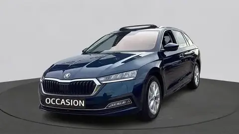 Annonce SKODA OCTAVIA Hybride 2024 d'occasion 