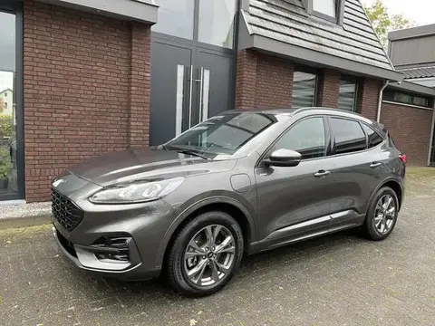 Used FORD KUGA Hybrid 2020 Ad 