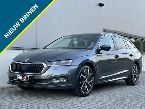 Used SKODA OCTAVIA Hybrid 2021 Ad 