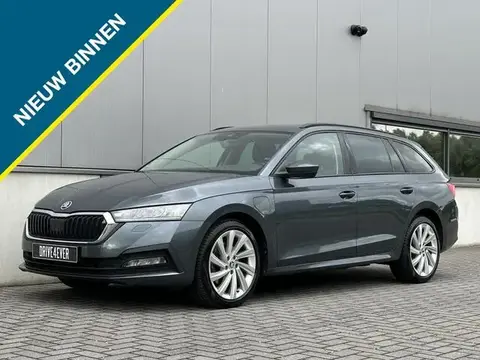 Used SKODA OCTAVIA Hybrid 2021 Ad 