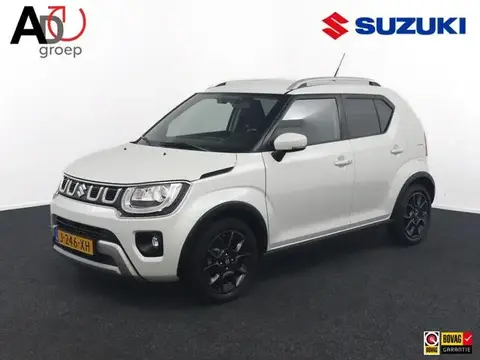 Used SUZUKI IGNIS Hybrid 2020 Ad 