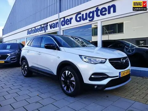 Used OPEL GRANDLAND Petrol 2020 Ad 