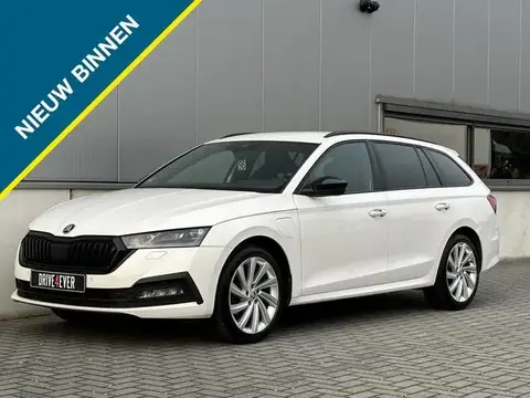 Used SKODA OCTAVIA Hybrid 2021 Ad 