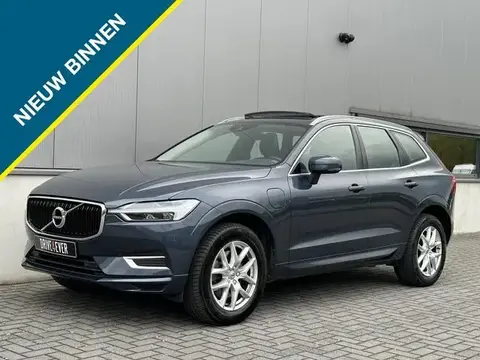 Annonce VOLVO XC60 Hybride 2019 d'occasion 