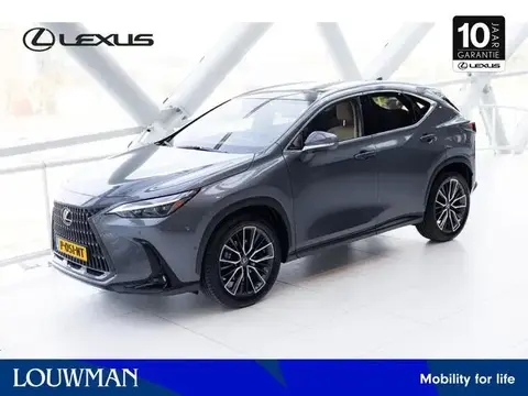 Used LEXUS NX Hybrid 2022 Ad 