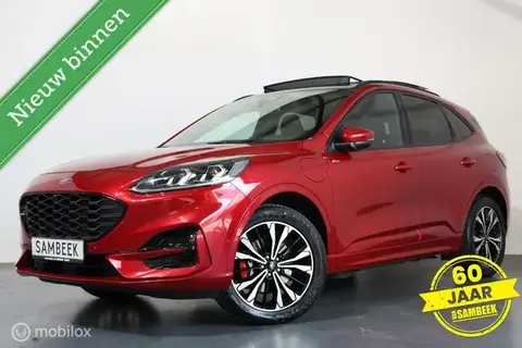 Used FORD KUGA Hybrid 2021 Ad 