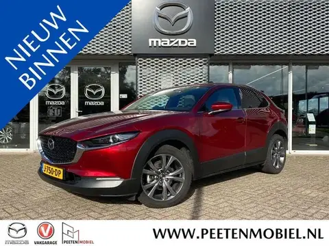 Annonce MAZDA CX-30 Hybride 2020 d'occasion 