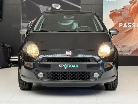 Annonce FIAT PUNTO Essence 2015 d'occasion 