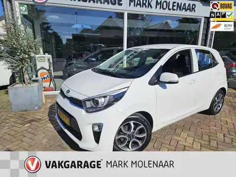 Used KIA PICANTO Petrol 2017 Ad 