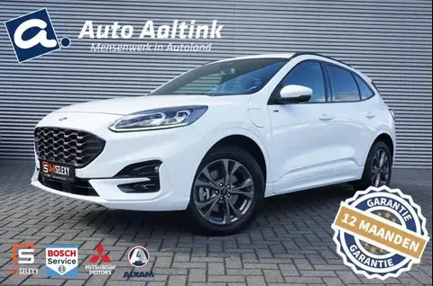 Annonce FORD KUGA Hybride 2021 d'occasion 