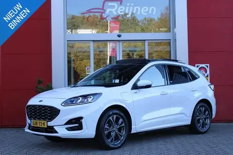 Used FORD KUGA Hybrid 2022 Ad 