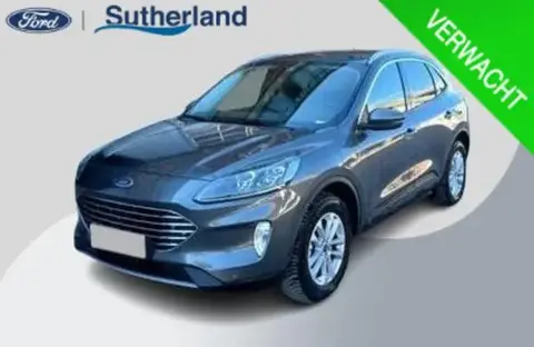 Used FORD KUGA Hybrid 2023 Ad 