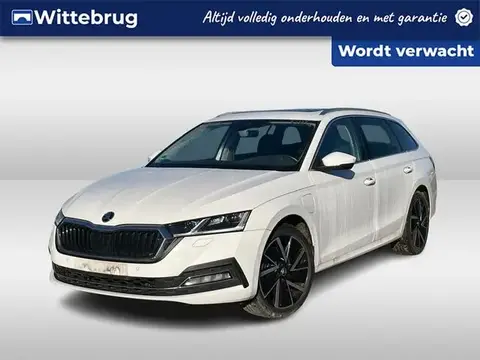 Annonce SKODA OCTAVIA Hybride 2020 d'occasion 