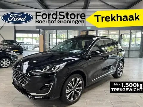 Used FORD KUGA Hybrid 2023 Ad 