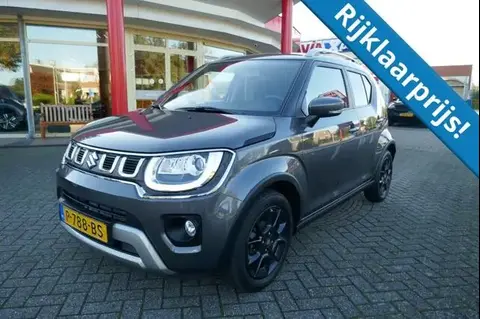 Used SUZUKI IGNIS Hybrid 2022 Ad 