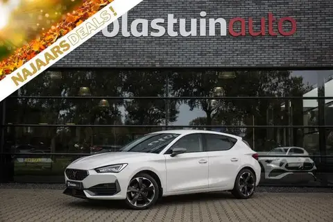 Used CUPRA LEON Petrol 2023 Ad 