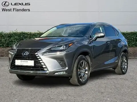 Used LEXUS NX Hybrid 2021 Ad 