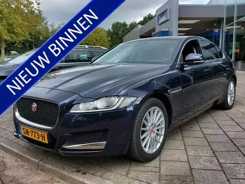 Used JAGUAR XF Petrol 2018 Ad 