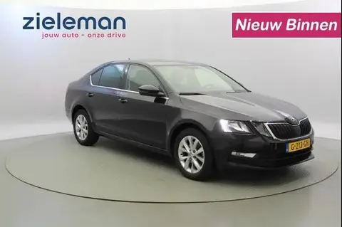 Annonce SKODA OCTAVIA Essence 2019 d'occasion 