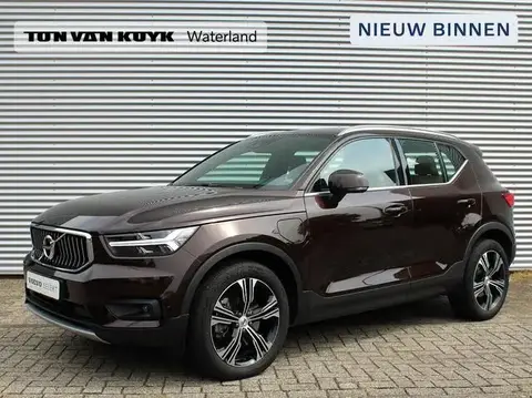 Annonce VOLVO XC40 Hybride 2020 d'occasion 