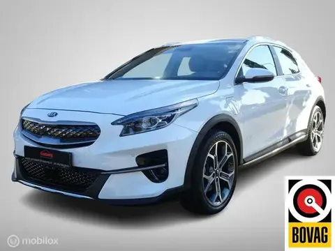 Used KIA XCEED Hybrid 2021 Ad 