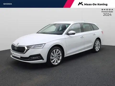 Used SKODA OCTAVIA Hybrid 2024 Ad 